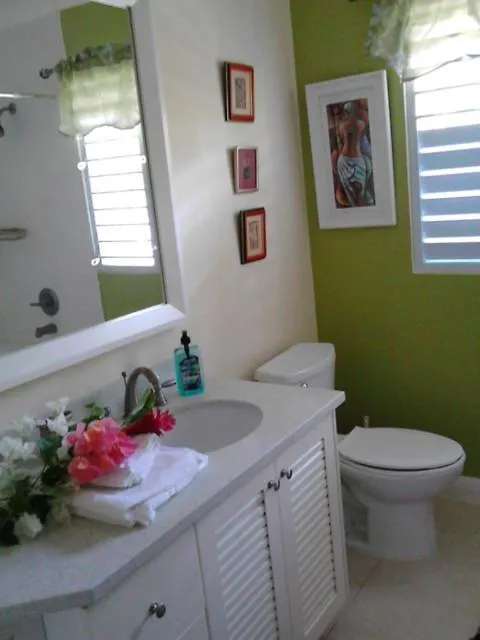 The Artist Place Villa At Richmond Estates St Ann Jamaica