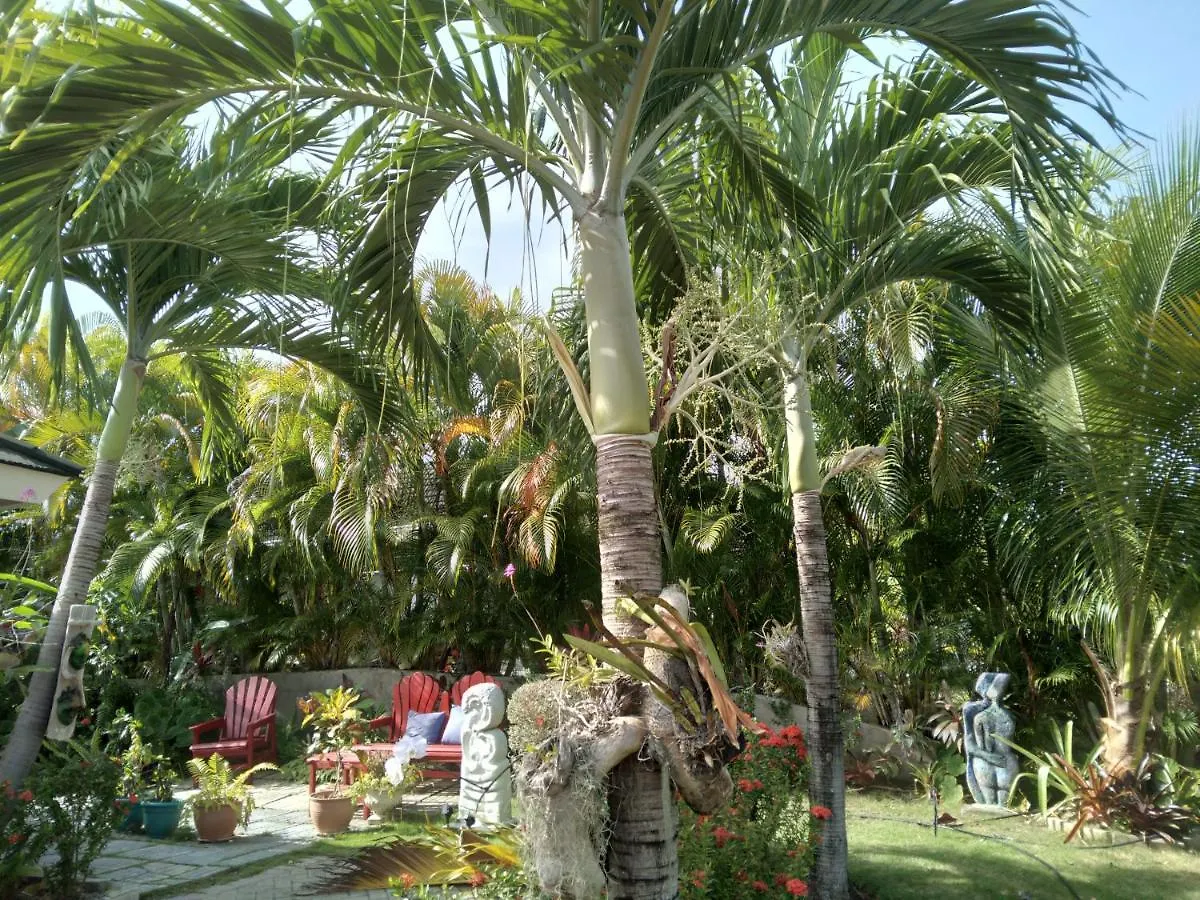 The Artist Place Villa At Richmond Estates St Ann